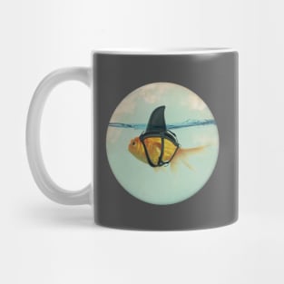 Goldfish with a Shark Fin Mug